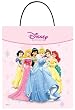 Disney Princess Treat Bags