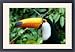 Framed Prints of Amazon, Brazil from Danita Delimont
