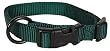 Hamilton "Fits All" 3/8" Adjustable Nylon Dog Collar, Green, X-Small (7-12 in)
