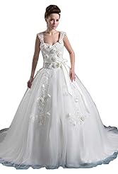 Applique Tulle Queen Anne Neck  Dress