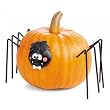 Spider Pumpkin Wear