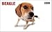   - Beagle In Your Face! 2008 Wallet Calendar