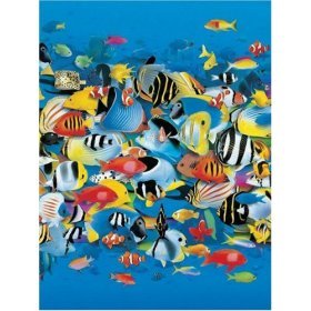 Childrens Toyshop  Toys : Rush Hour