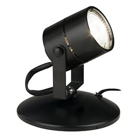Lil Big Wonder Black 50 Watt MR16 Mini Spot Light