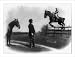 Historic Print (L): [Theodore Roosevelt watching his son Theodore Jr., who is riding on horse jumping over f