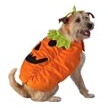 Pet Pumpkin Costume - Orange