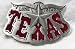 Texas  Lone Star State Belt Buckle