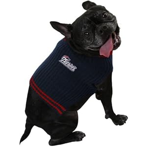 new england patriots dog sweater