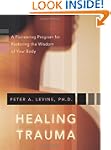 Healing Trauma: A Pioneering Program...