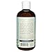 Seaweed Bath Co Balancing Eucalyptus Plant and Peppermint Organic Natural Shampoo and Conditioner Bundle With Argan Oil, Sustainable Bladderwrack Seaweed, Aloe Vera & Essential Oils, 12 fl. oz. each
