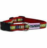 Spiffy Dog Air Bones Dog Collar, M, Red