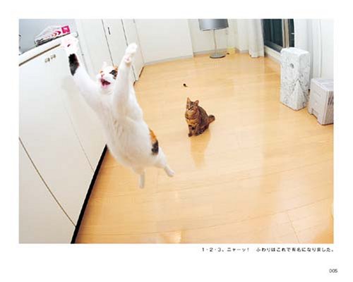 Cover image : そらとぶねこ