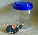 Remy in a Jar Battery Operated Rat From Disney's Ratatouille_s-1