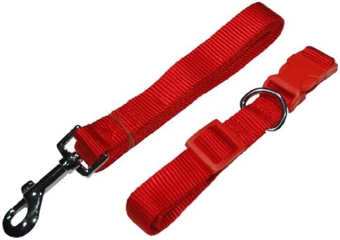 Zone 70 Dog Collar and Leash Set, Red, in Small, Medium, and Large (Large)