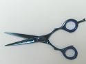 Blue Titanium Coated 5.5 inch Shears