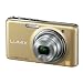 Panasonic �f�W�^���J���� LUMIX FX77 ���I�p�[�h�S�[���h DMC-FX77-N