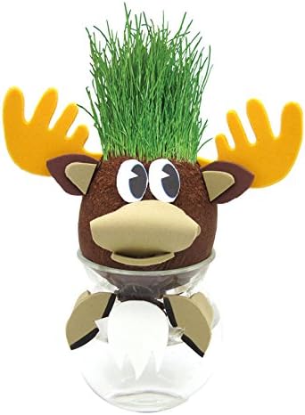 Grow-A-Head Woodland Moose Toy