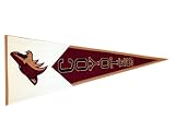 Phoenix Coyotes Large Classic Pennant