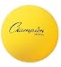 Champion Sports Uncoated Regular Density Foam Ball (7-Inch)