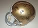 2012 Notre Dame Fighting Irish Team Autographed Riddell Full Size Football Helmet with 18 Signatures Total, Proof Photos