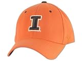 Illinois Fighting Illini DH Logo I Exact Fit Ora