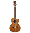 Cordoba 20TM-CE Acoustic Electric Tenor Ukulele
