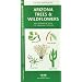 Arizona Trees & Wildflowers: An Introduction to Familiar Species (State Nature Guides)