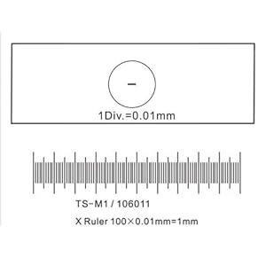 Millimeters To Micrometers Converter