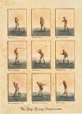 Golf Swing Progression(S) by David Nichols. Art Print Poster FRAME IT.. 11 inches width by 15.25 inches height. Highest Quality Art Poster Print
