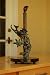 Sea Life Turtle Dolphin Fish Seashell Paper Towel Holder