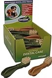 Toothbrush Star Extra Large Bulk Display Box - Pa205 - Bci
