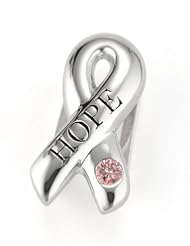 Lori Bonn - Be Cause We Need a Cure - Bonn Bon Slide Charm