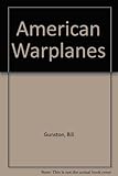 American warplanes