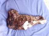 Fragment of the Nantan Chinese Meteorite, 5512