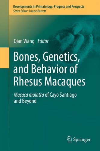 Bones, Genetics, and Behavior of Rhesus Macaques: Macaca Mulatta of Cayo Santiago and Beyond (Developments in Primatology: Progress and Prospects)