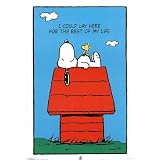 Peanuts (Snoopy, I Could Lay Here) Art Poster Print - 24x36