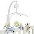 Baby Animals Musical Mobile Set