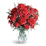 Pink Carnations Fresh Flower Bouquet