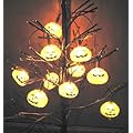 10ライトシャイニングパンプキン 10 Light shining Pumpkin -802467