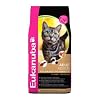 Eukanuba Adult Lamb and Rice Cat Food