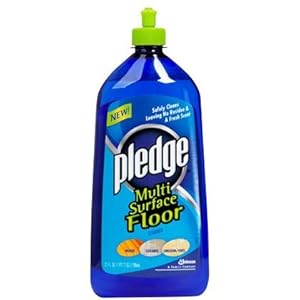 mop that squirts water