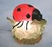Ladybug NIGHT LIGHT Nightlight ladybugs lady bug bugs
