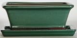 BuyBonsai's Bonsa Pot 8 Rectangle Green with Tray