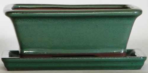 BuyBonsai's Bonsa Pot 8 Rectangle Green with Tray