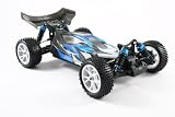 FTX Vantage 1/10 4WD Brushed Buggy RTR