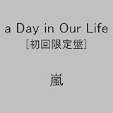 a Day in Our Life