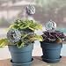 Decorative Plant Stakes: Sun & Moon