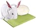 Bunny White Pillow Buddy