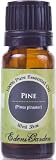 Pine 100% Pure Therapeutic Grade Essential Oil- 10 ml