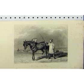 1847 Cart Horse Man Whip Country Scene Engraving Hacker